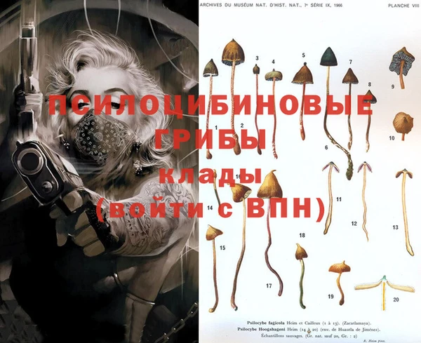 меф VHQ Новозыбков