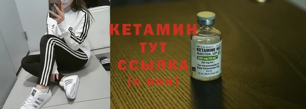 крисы Новодвинск