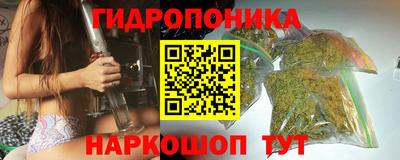 крисы Гусев