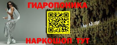 крисы Гусев
