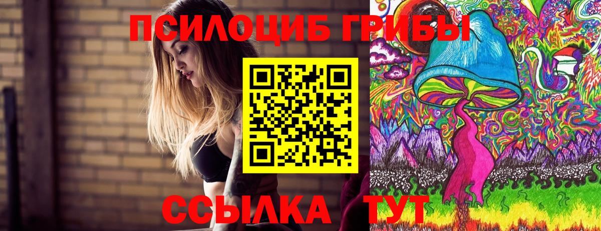 Галлюциногенные грибы Cubensis  Галлюциногенные грибы Magic Shrooms  Псков  наркотики  Вход с VPN 